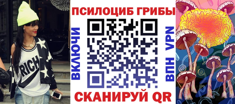 мега   Мглин  Псилоцибиновые грибы Psilocybine cubensis 